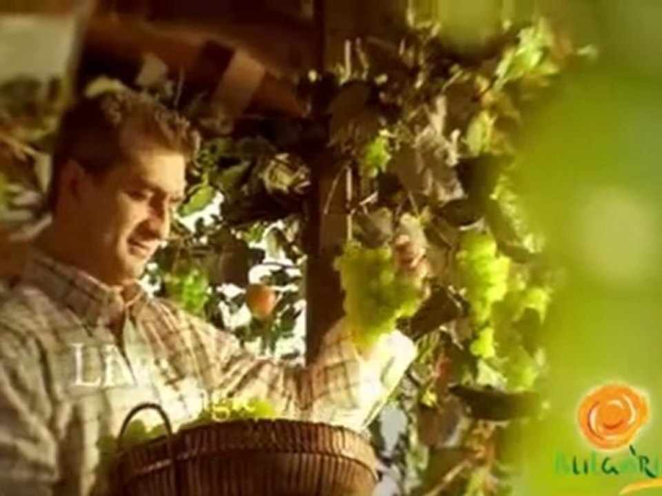 Это Болгарии / This is Bulgaria / C'est en Bulgarie (1)