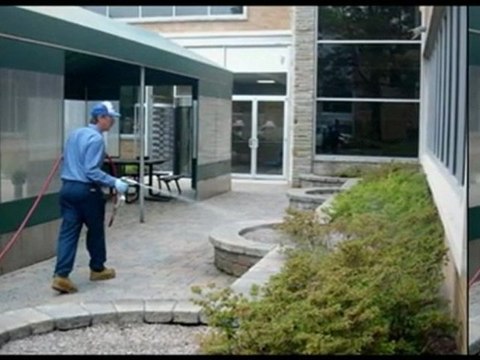 Animal Control Service, Topeka, KS - (785) 640-4411