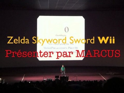 The Legend of Zelda: Skyward Sword par Marcus au Micromania Gamestour