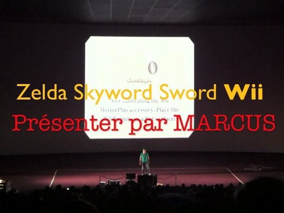 The Legend of Zelda: Skyward Sword par Marcus au Micromania Gamestour