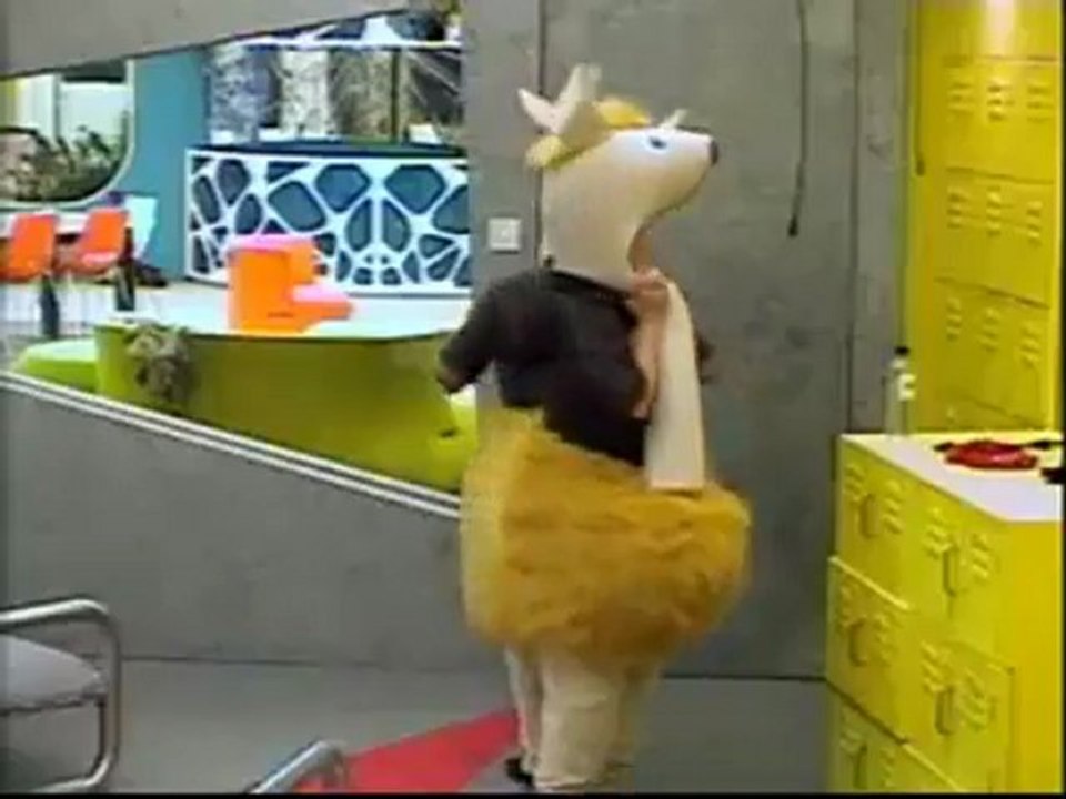 Birth of the Two-Headed Llama :-)