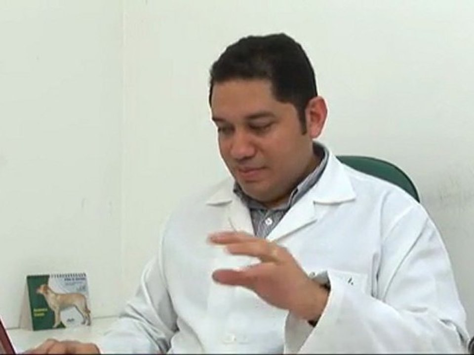 Making OF - Animais Precisam de Carinho
