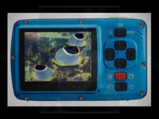 Some Cheap Underwater Camera Choices