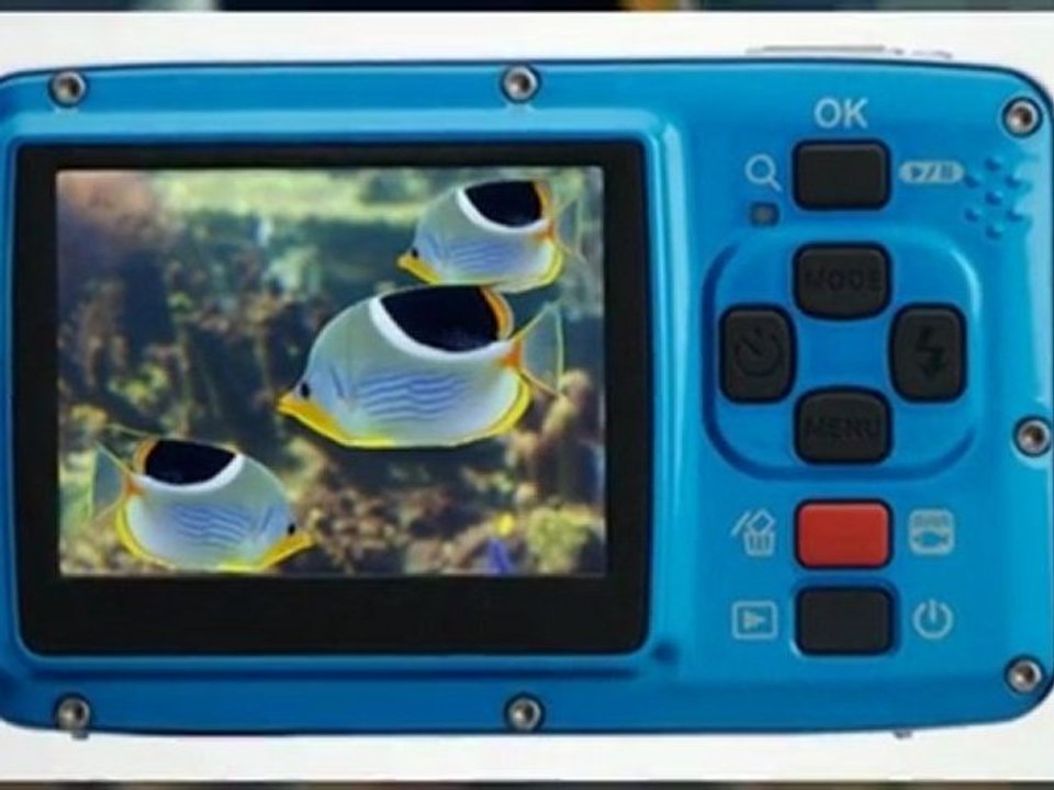 Some Fuji Underwater Camera Choices