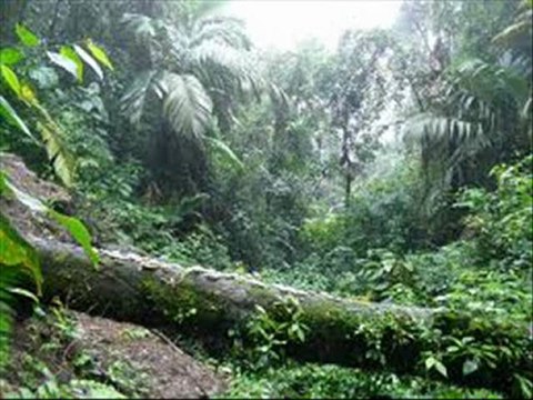IRMAOS LATINOS - HERMETO PASCOAL-POR EDGARDO LOPEZ DRUMS