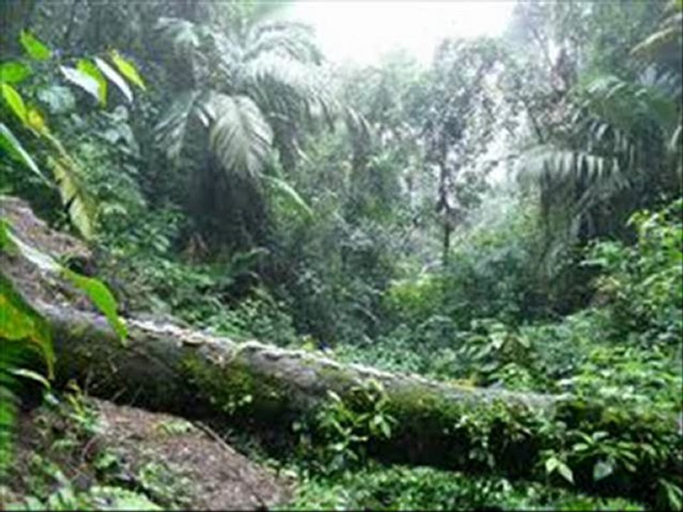 IRMAOS LATINOS - HERMETO PASCOAL-POR EDGARDO LOPEZ DRUMS