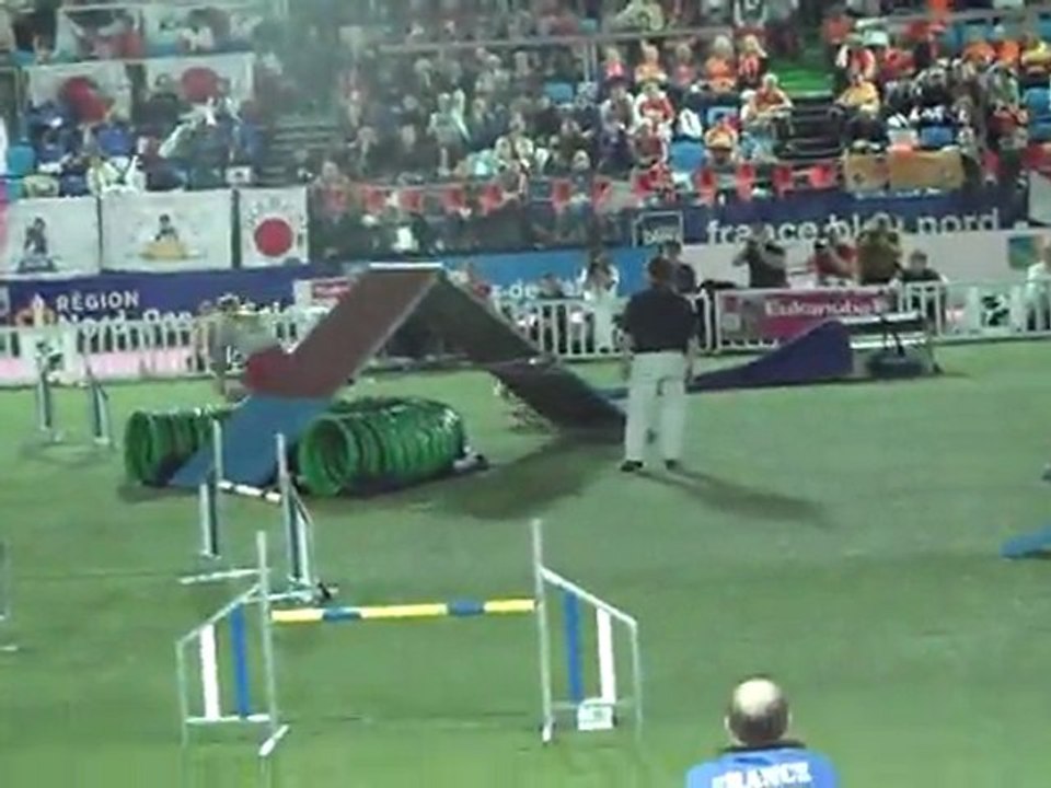 berger australien agility liévin 2011