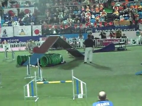 berger australien agility liévin 2011