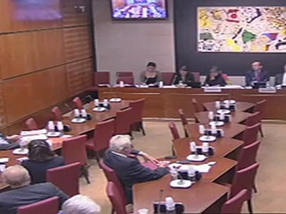 Commission des affaires culturelles