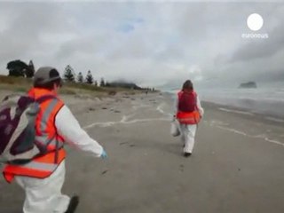 Nueva Zelanda reanuda la extracción de crudo del Rena