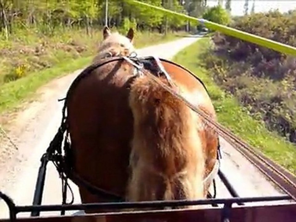 video ar bourdig 1
