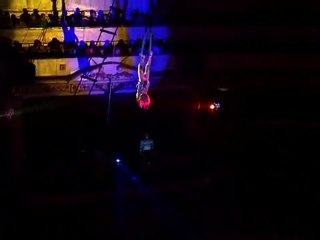 ELENA NOSULENKO-aerial net-presents Art agency Valentino