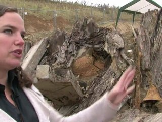 Alsace: découverte des restes de soldats allemands