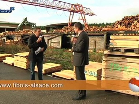 Alsace: comment se porte la filière bois?