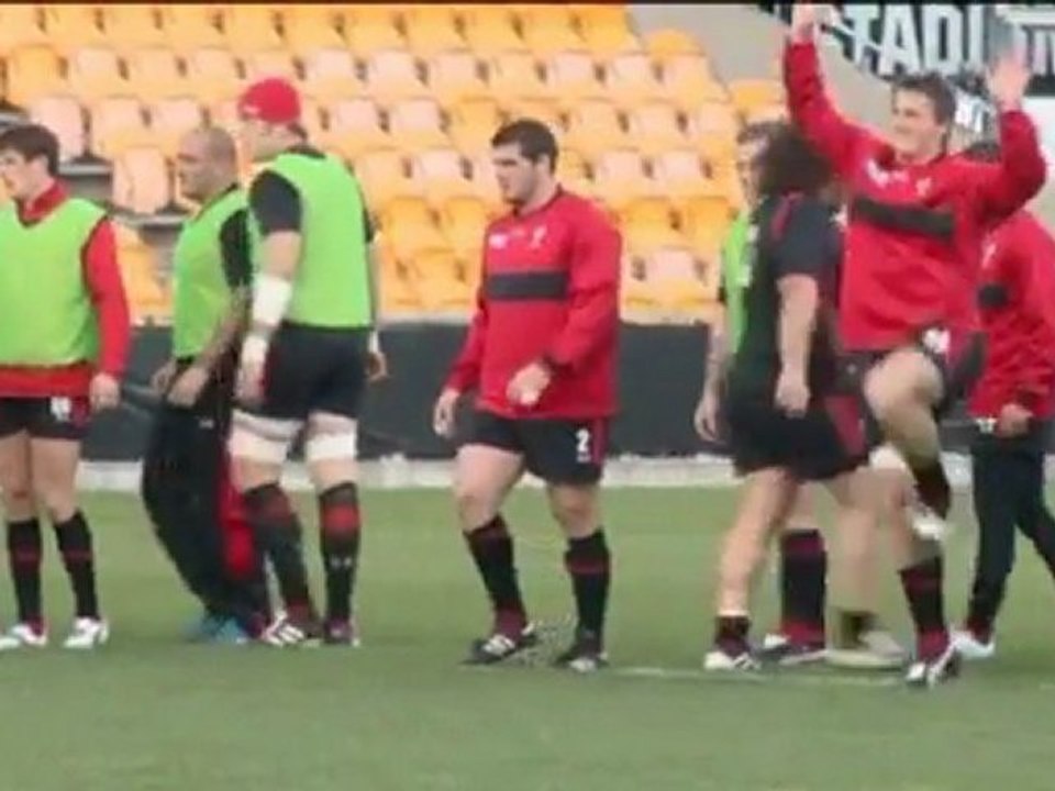 Rugby WM - Hook ersetzt verletzten Priestland