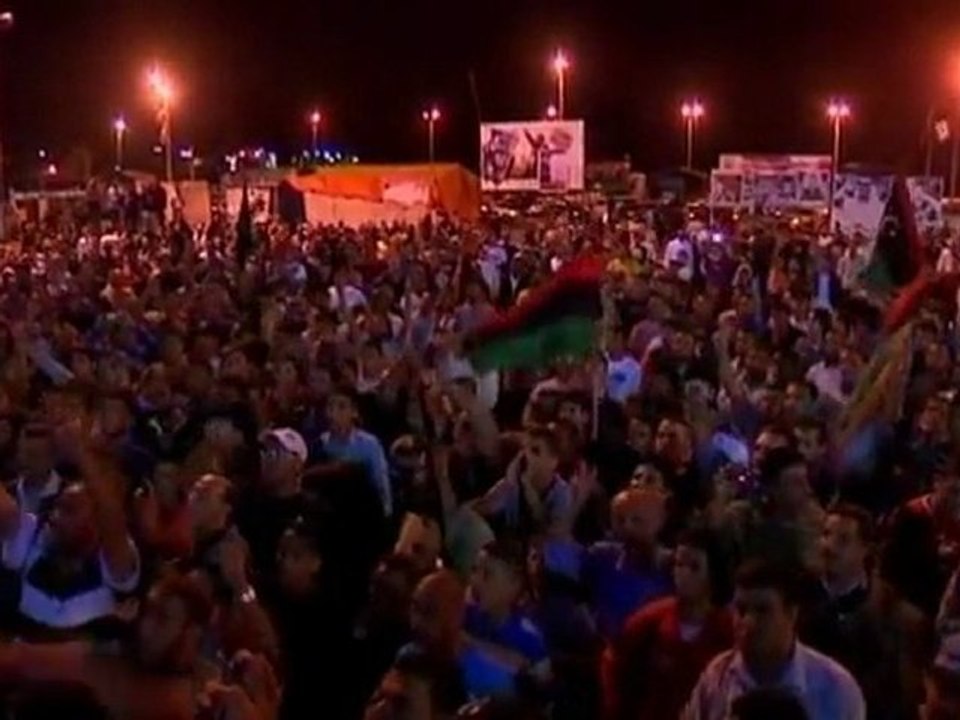 Gaddafi son captured