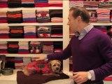 Dog Outfits - Horse Blanket Coat