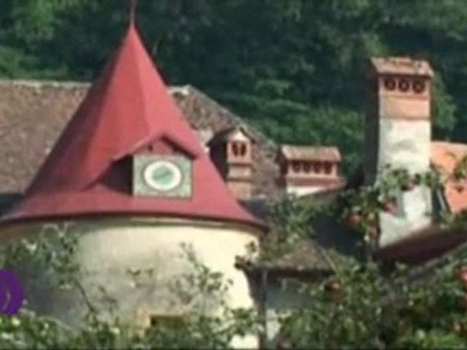 Domaine de la Lance à Concise
