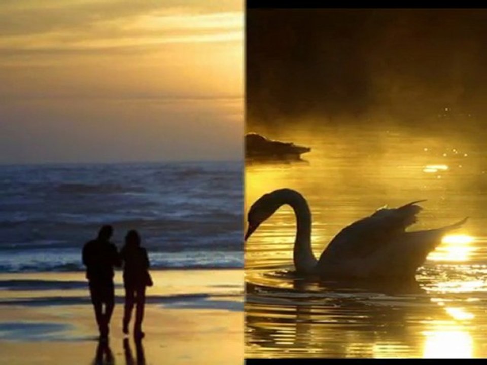 OĞUZ BORAN - SENİ ÇOK SEVİYORUM