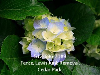 512-696-7189 Fence, Lawn, Junk, Care, Repair, Removal Cedar Park.7