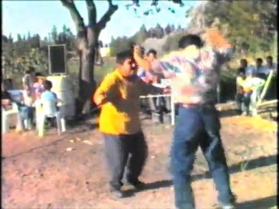 BALCI nın gülleri (suat akdoğan)