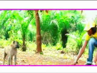 Centrafrique musique Sapeke Musica - Gnon ti na mo