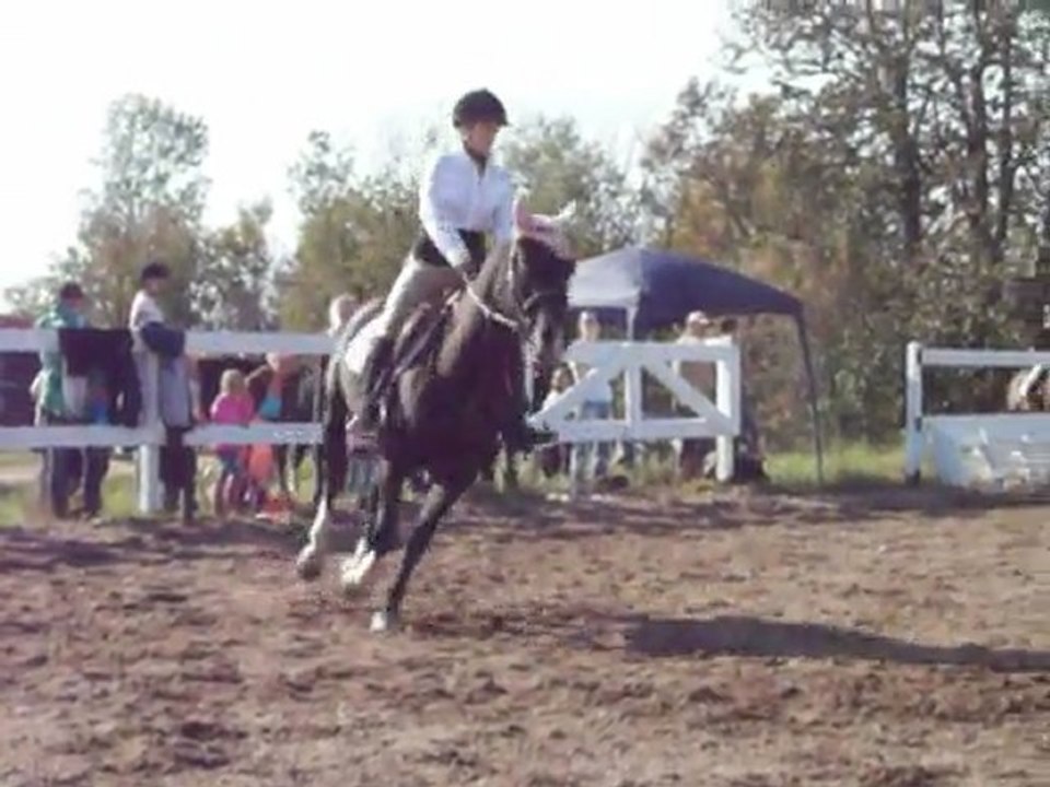 Concours-école Tournesols 030