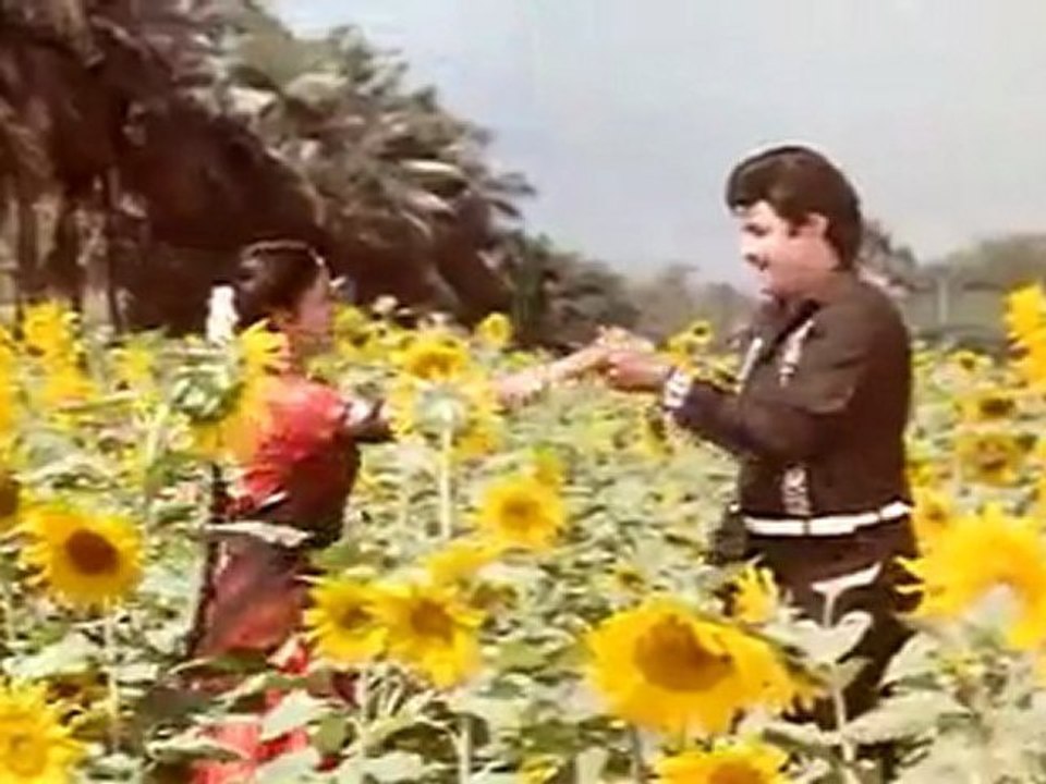 Pellantune Vedi Ekindi Gali( Naari Naari Naduma Murrari)