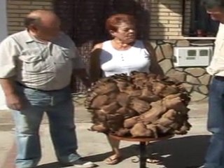 Hallan en Salamanca una seta gigante de veinticinco kilos