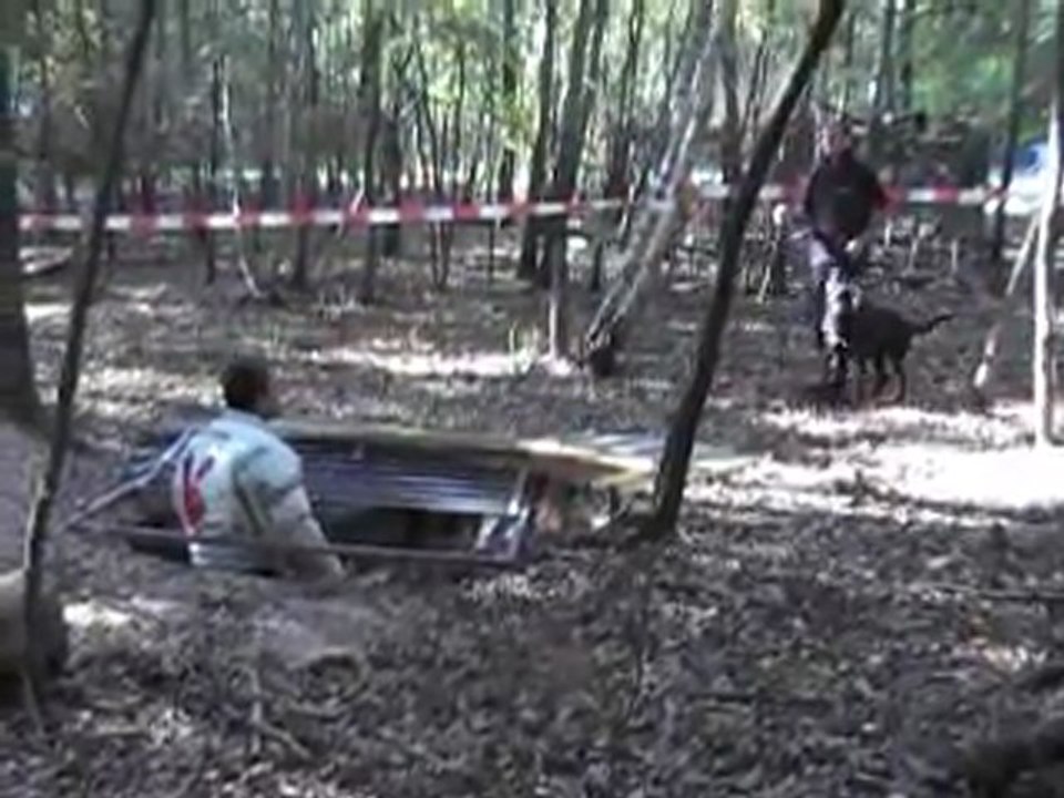 parcours maitre chien