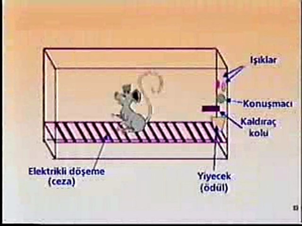 TEK