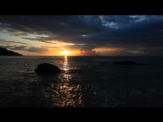 Sexual Taboo, As Told By; The Voices of Microsoft