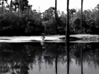 Vaduka Marachedavela - (Pelli Kanuka)