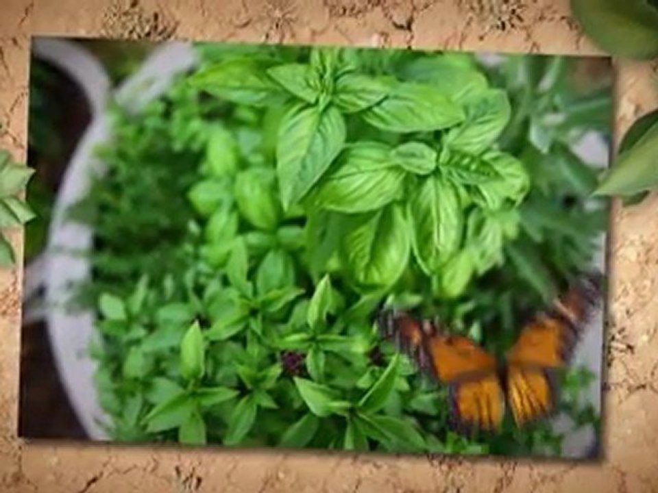 Seed Gathering Secrets