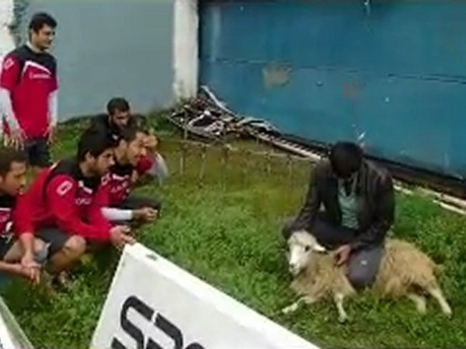 kurban