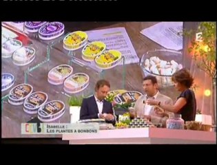 Extrait de l'émission "Comment ça va" - France 2 - 30/11/2011