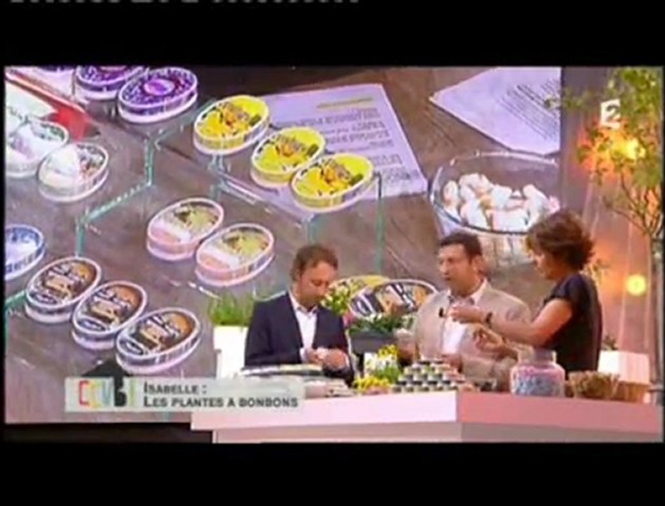 Extrait de l'émission "Comment ça va" - France 2 - 30/11/2011