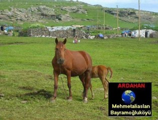 Burası ardahan hoçvan mehmetaliarslan köyü