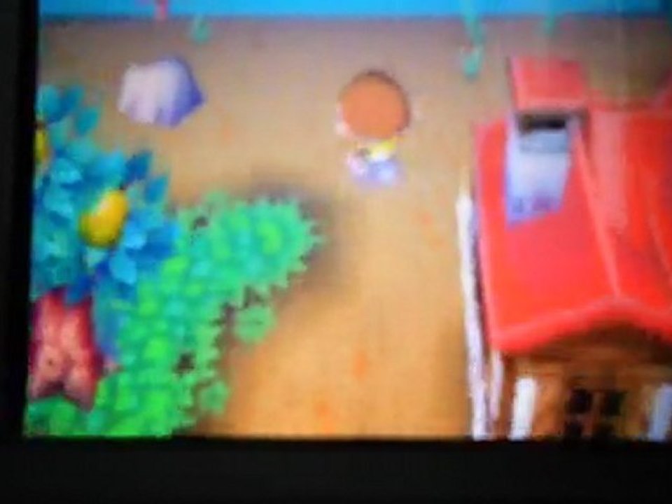 Animal Crossing Wild World Nintendo DS