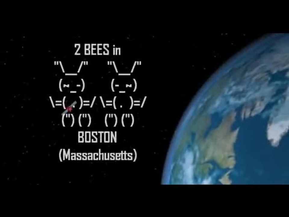 2 Bees in Boston 2011