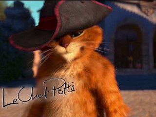 Faites comme le Chat Potté, restez « à poil » !