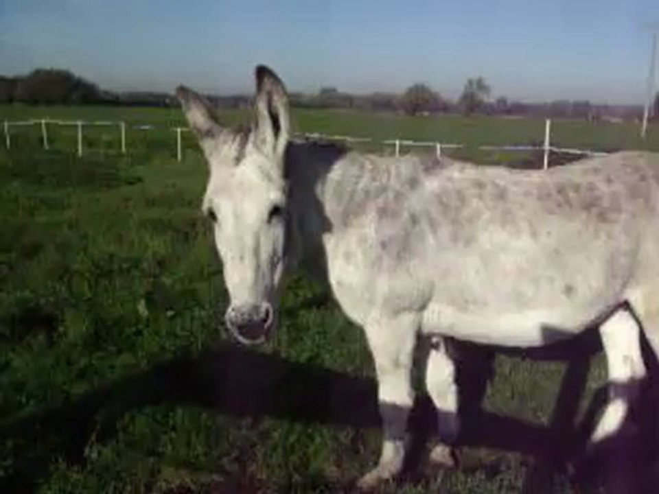 Bianca et Cadette oct11