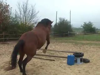 13.10.2011.c.liberte