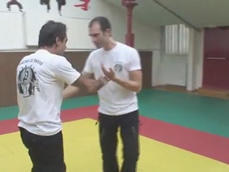 Technique de krav maga
