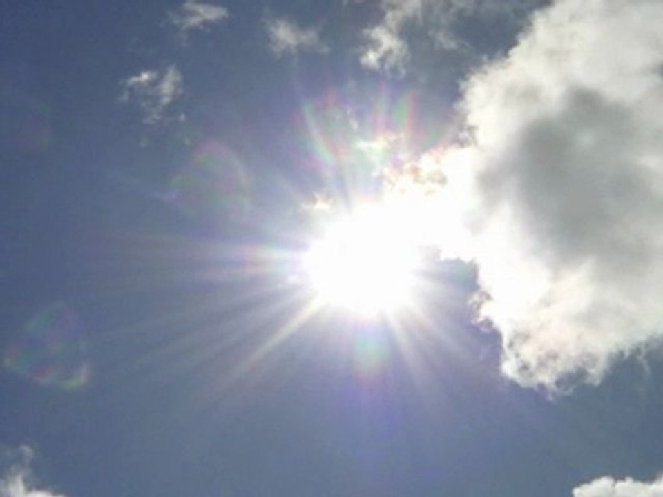 PAN INO dream collector