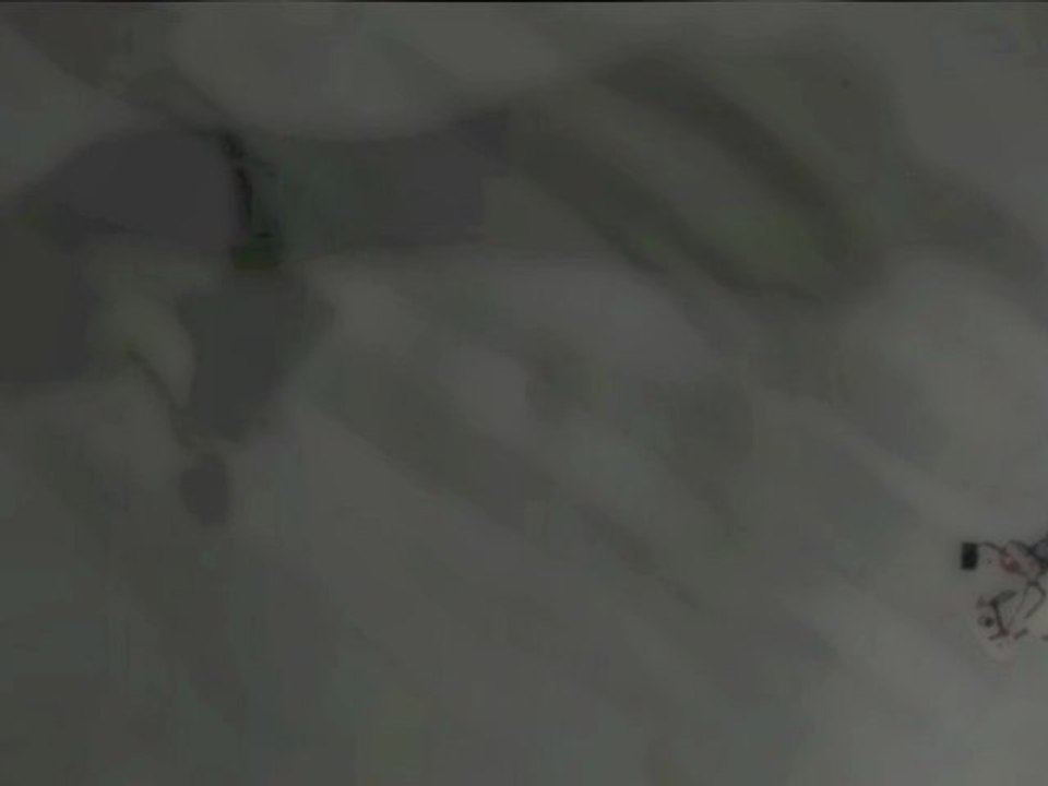 PAN INO schatten und glück