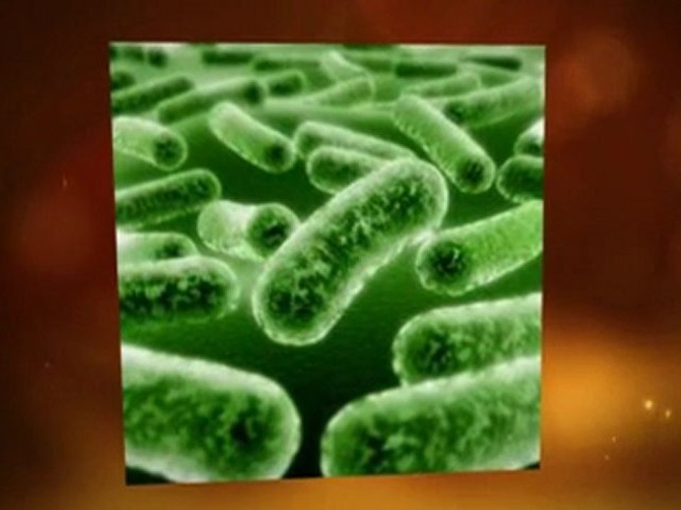 Curing Genital Warts