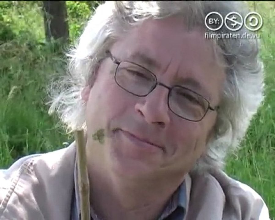 Raukopieren schafft Ideen