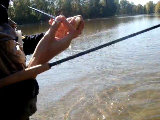 alex et jerome en bord de loire