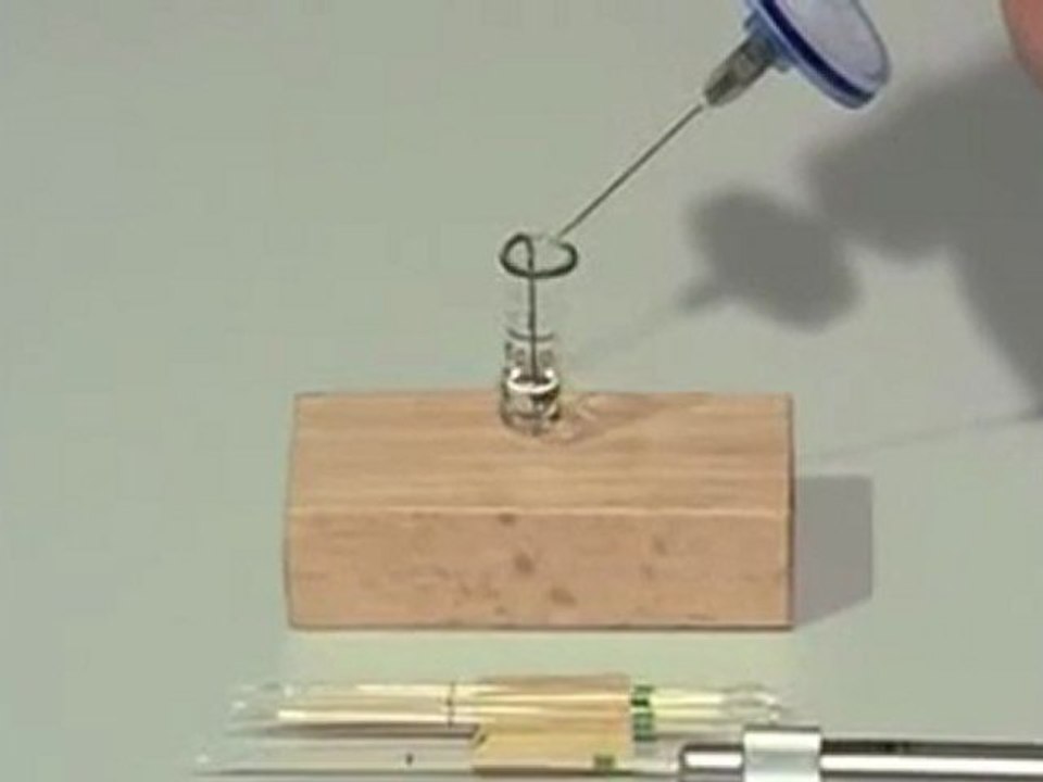 Artificial_insemination_of_honeybees